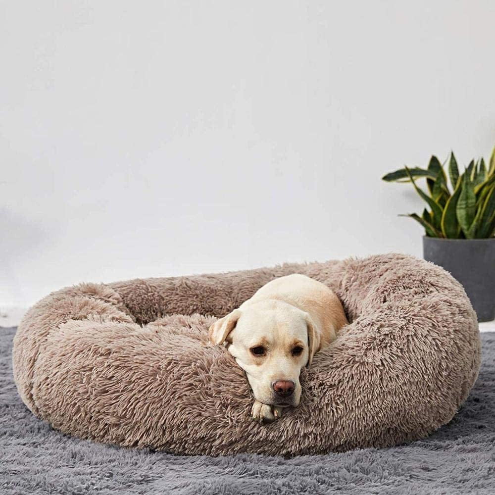 Cuccia per cani Wolke – Comfort soffice incontra sonno rilassante