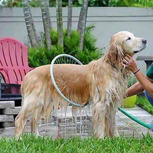 Outil de douche pour animaux de compagnie 360° - AquaPaws